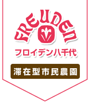 フロイデン八千代